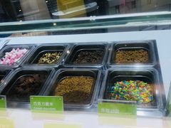 -JW德国冻酸奶Frozen Yogurt(龙湖成都滨江天街店)
