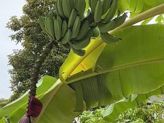 -云溪植物园