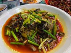 -重庆火锅水库鱼庄(南油店)