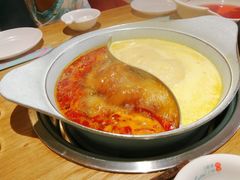 -青瓷火锅料理(西单大悦城店)