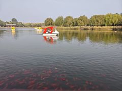 -西海子公园