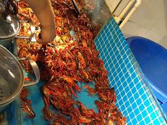 -星伦多自助料理(花山金鹰店)