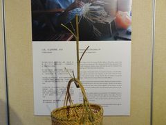 青浦区朱家角镇采访实录-徐汇艺术馆