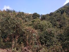 -梅岭月亮湾山体公园