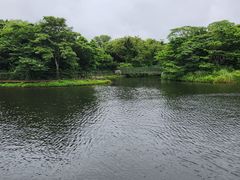 -济州森林小火车生态公园