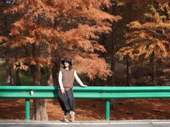 -南京市无想山景区