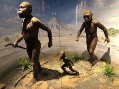 -国家自然博物馆