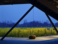 -中国天府农业博览园