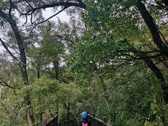-北山公园