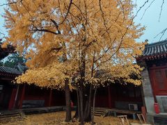 -承恩寺