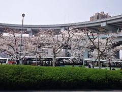 -上海南浦大桥长途旅游客运站