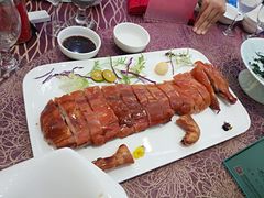 -欢乐海岸美食联盟
