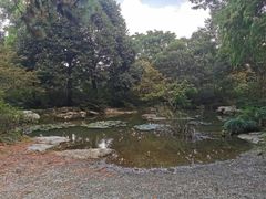 -上海滨江森林公园