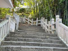 -广州市流溪河国家森林公园
