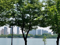 -尚贤河湿地