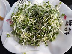 -云中小雅