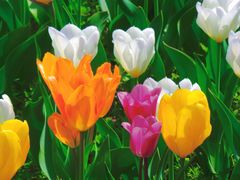 -北京植物园南门售票处