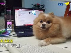 -沈阳站
