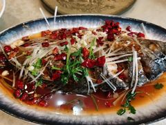 -崂山水果园农家宴(泉水鸡店)