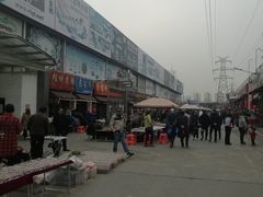 -中环花鸟鱼虫市场