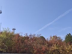 -北京西山国家森林公园