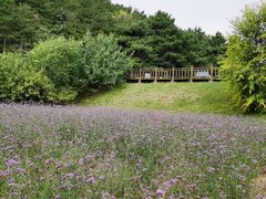 -云峰山自然风景区