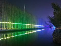 -黄海国家森林公园