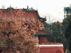 -肇庆古城墙