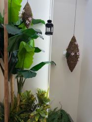 -芳朵美容养生SPA