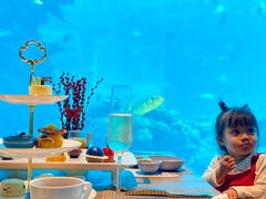 -涛·海底餐厅·美人鱼·自助餐·海底隧道(三亚海棠湾洲际度假酒店)