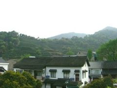 山下-十八棵（老龙井）御茶园(老龙井店)