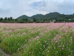 -红山村