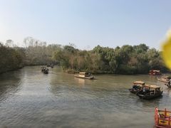 -溱湖国家湿地公园