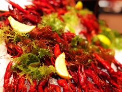 -咖啡苑 - 蔚藍夏日限定主题(永利皇宫店)