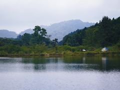 -海南热带雨林国家公园吊罗山景区
