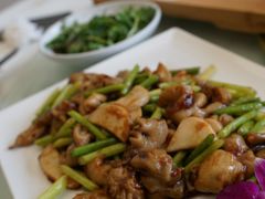 -丁老爷子苏香圆