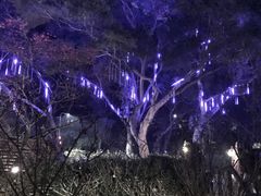 -草山夜未眠景观餐厅