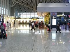 -张家界荷花国际机场航站楼-国内出发