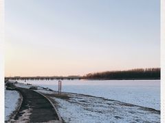 -丁香湖公园