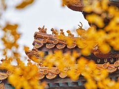 -故宫博物院(故宫)