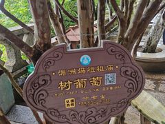 -湄洲岛
