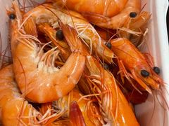 -南燕湾渔家码头