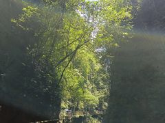 -蝶舞清江·恩施地心谷景区