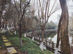 -水绘园