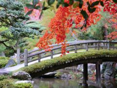-京都御所