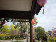 -南汇桃花村