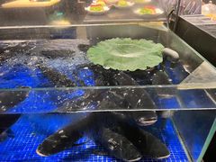 -高佳庄·舟山海鲜(海景旗舰店)