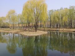 -东郊湿地公园