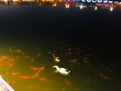 -西安曲江寒窑遗址公园