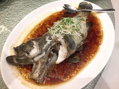 -頂好酒家·经典粤菜(海信广场店)